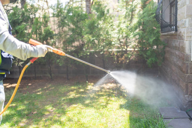 Professional Pest Control in Wayne, MI